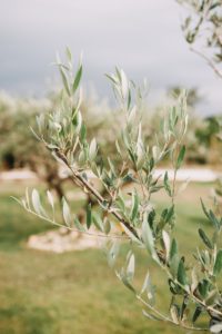 La Baraque de Sérignac mariage Nîmes