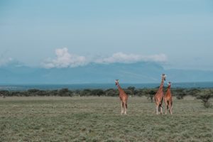 Kenya photo voyage