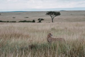 Kenya photo voyage
