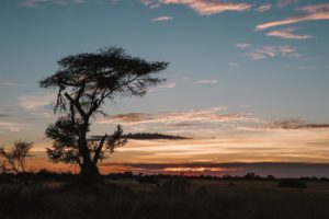 Botswana photo voyage