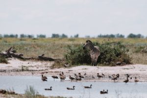Botswana photo voyage