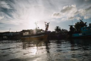 photo voyage île d'Oleron