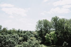 Mariage Moulin Pley Orne