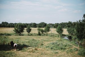 mariage chateau de panloy