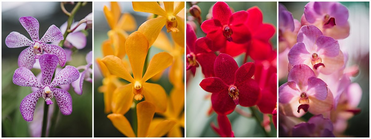 Yoann Pallier Thaïlande