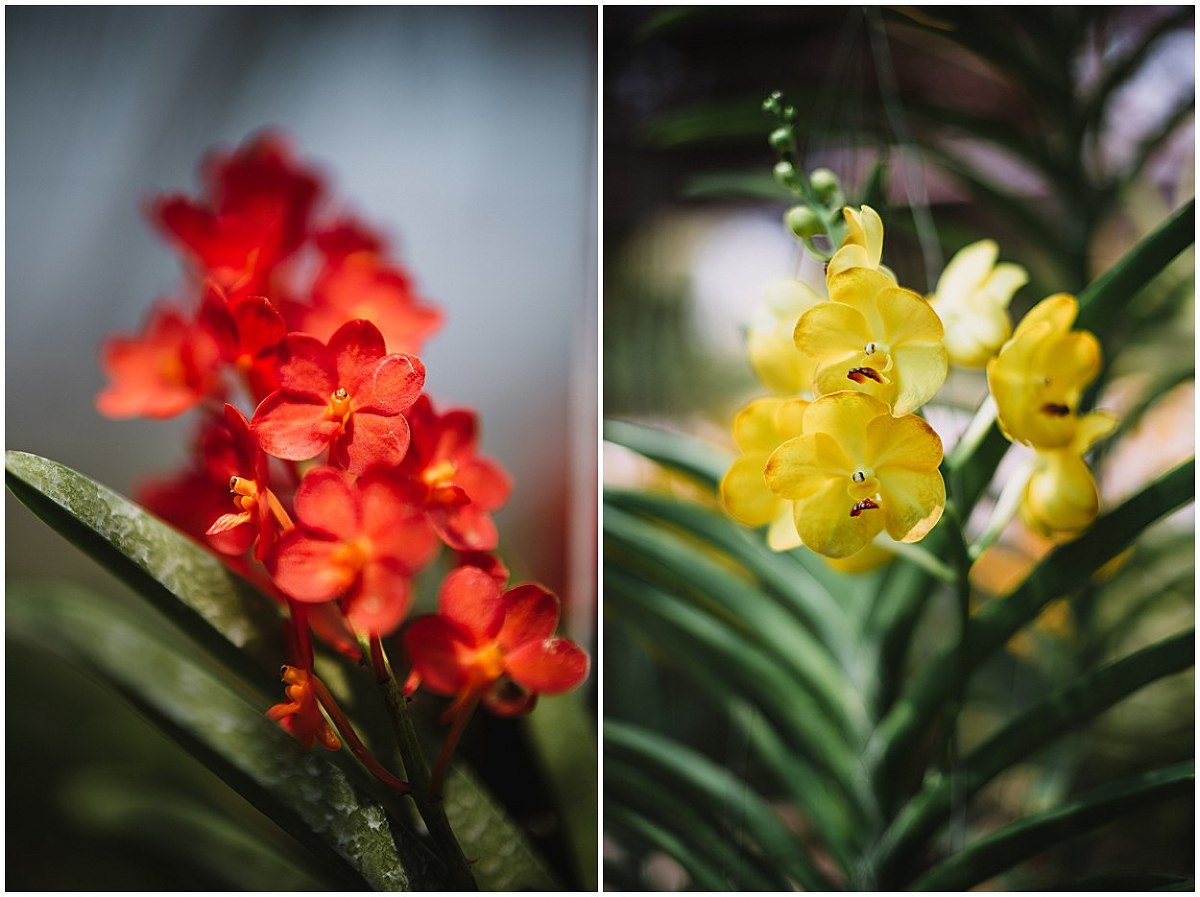 Yoann Pallier Thaïlande
