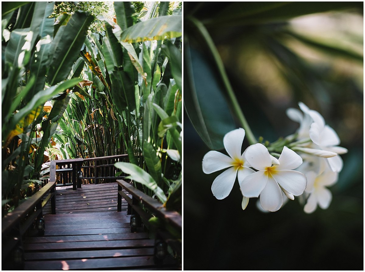 Yoann Pallier Thaïlande
