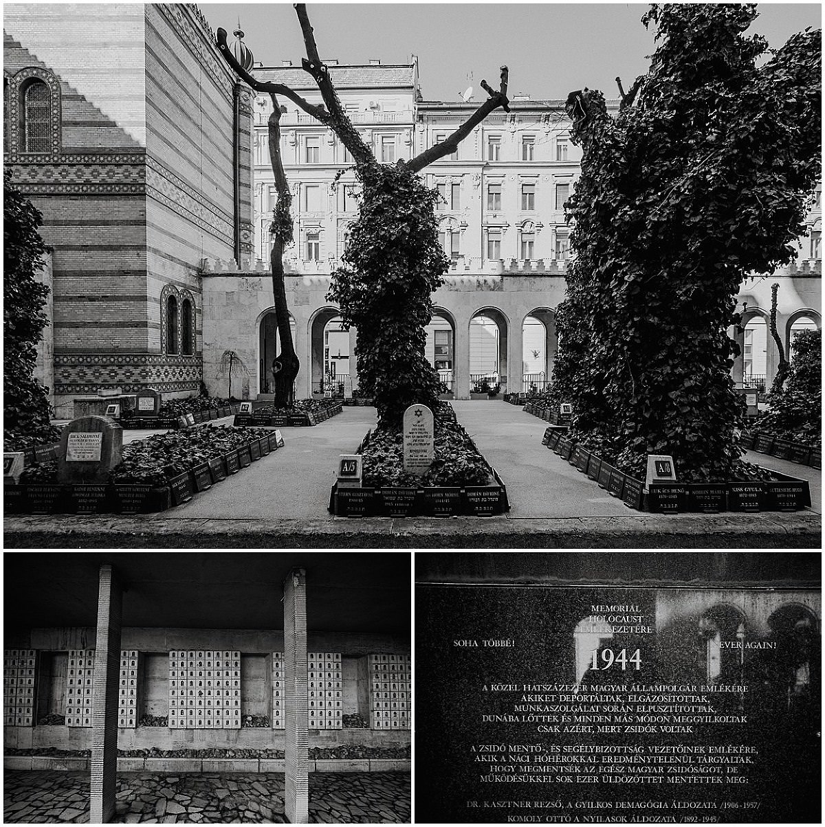 Yoann Pallier Budapest